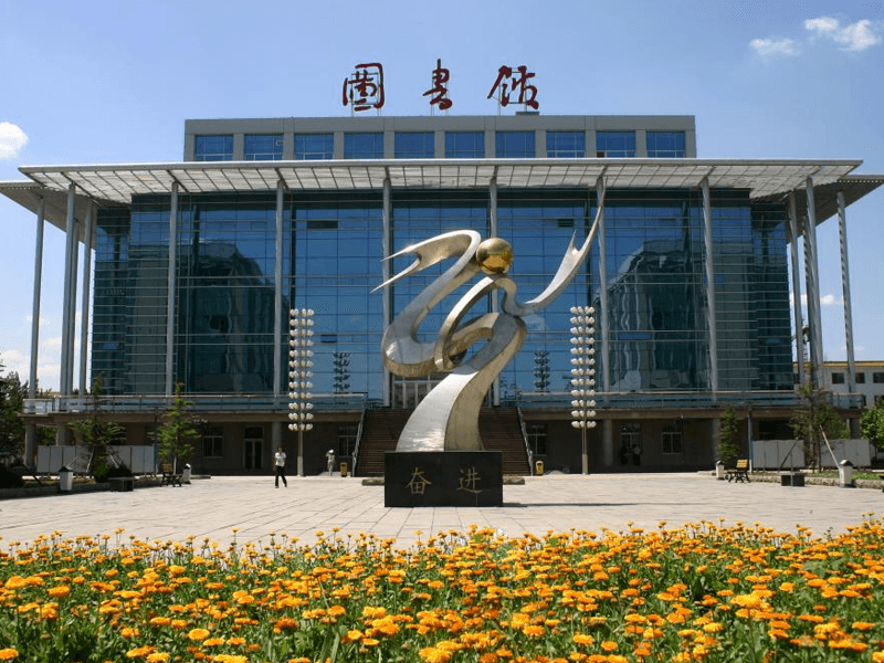 衡水试管婴儿替代方案指南封面图