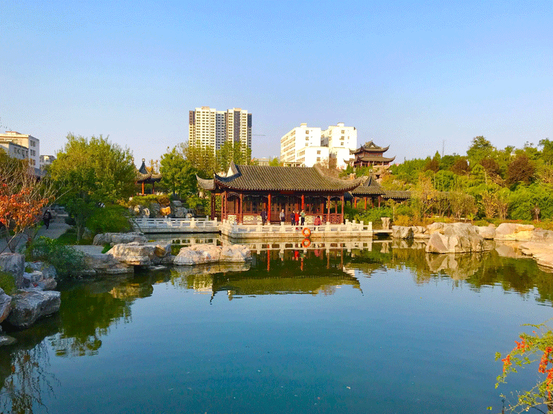 邓州试管婴儿替代方案指南封面图