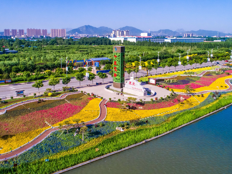 鹿泉试管婴儿替代方案指南封面图