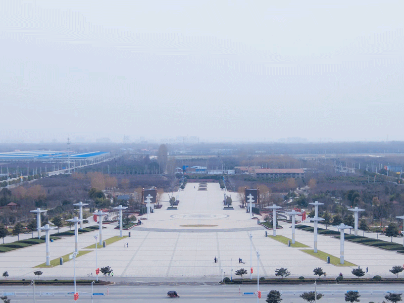 长葛试管婴儿替代方案指南封面图