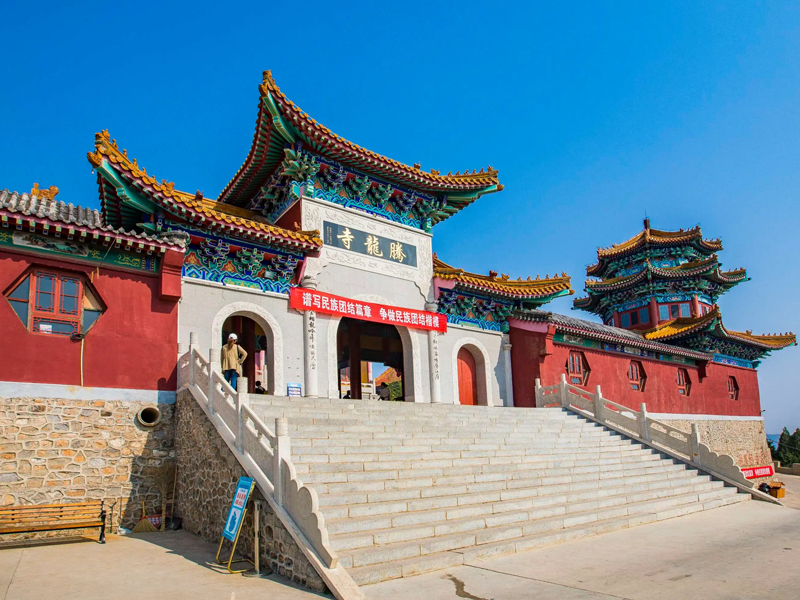 遵化试管婴儿替代方案指南封面图